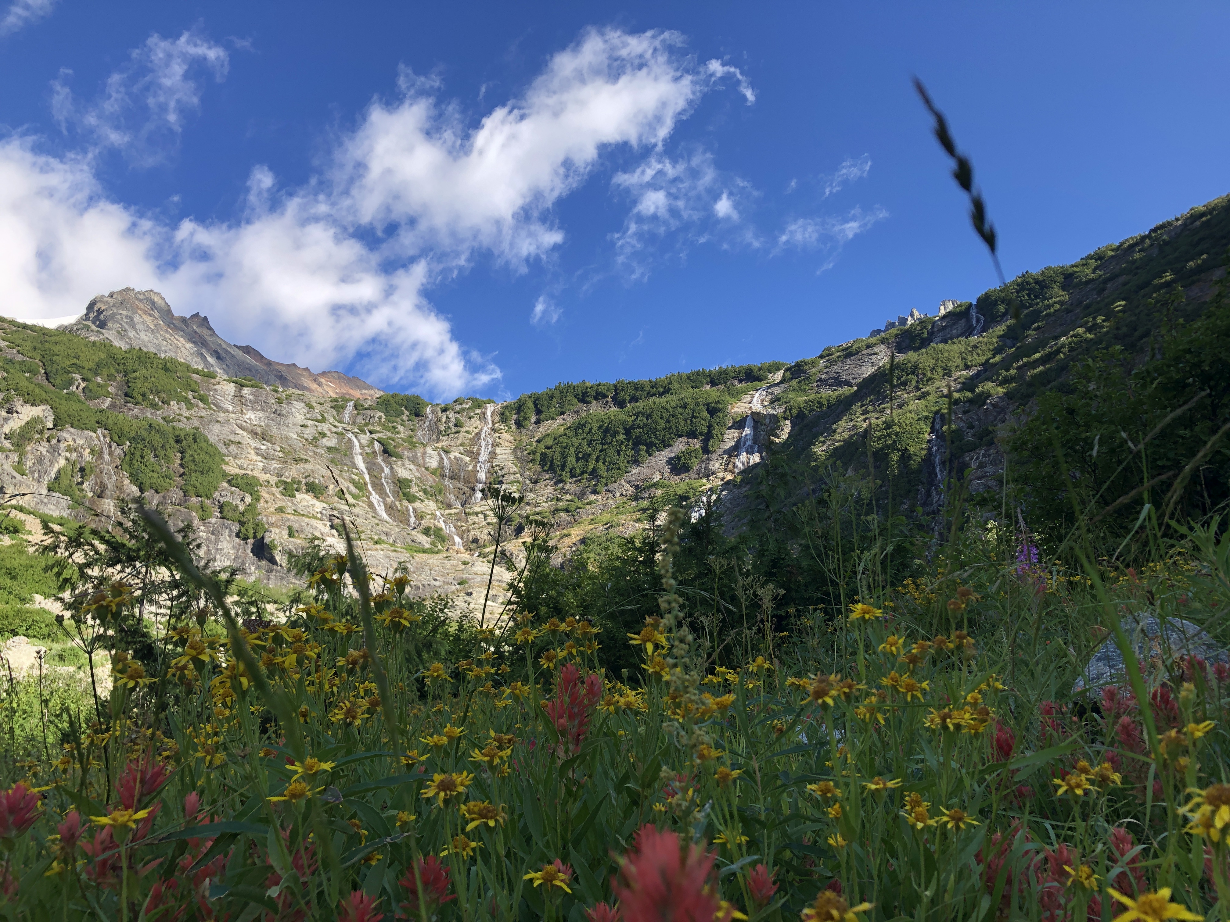 Horse Shoe basin